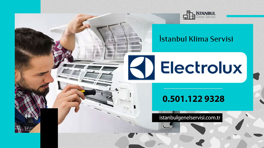 Altıntepe Electrolux Klima Servisi